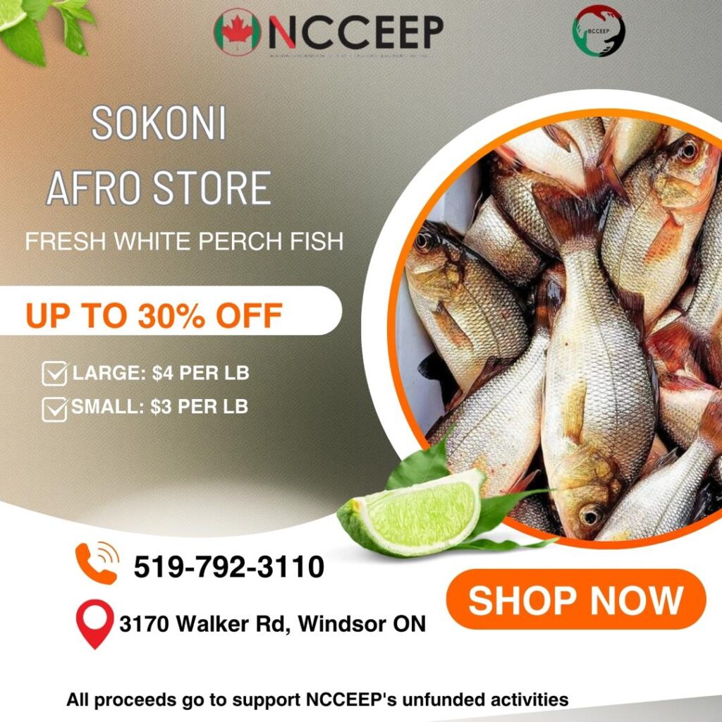 Sokoni Afro Store fresh white perch fish promotion up to 30 percent off